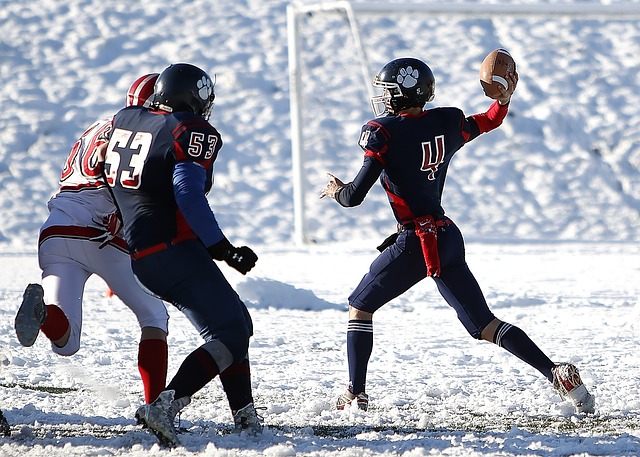 成功地压制 成功地压制