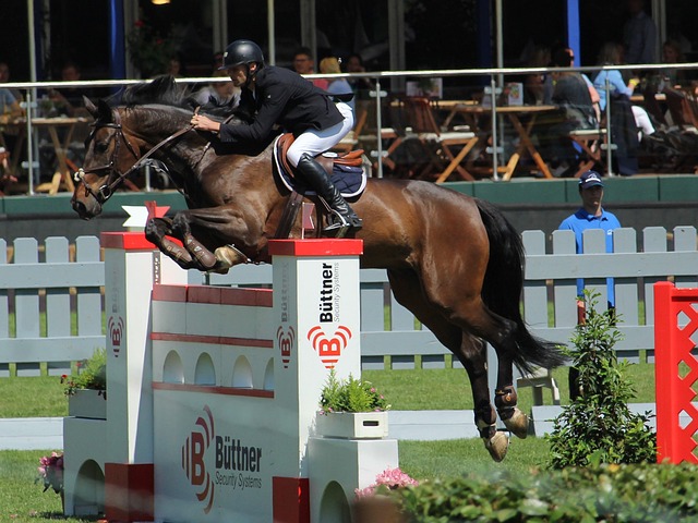 全球范围内 全球范围内