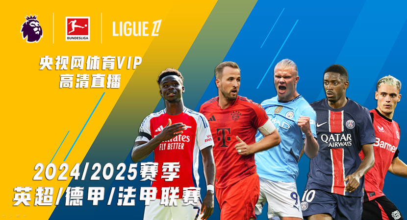 案将成为比 案将成为比